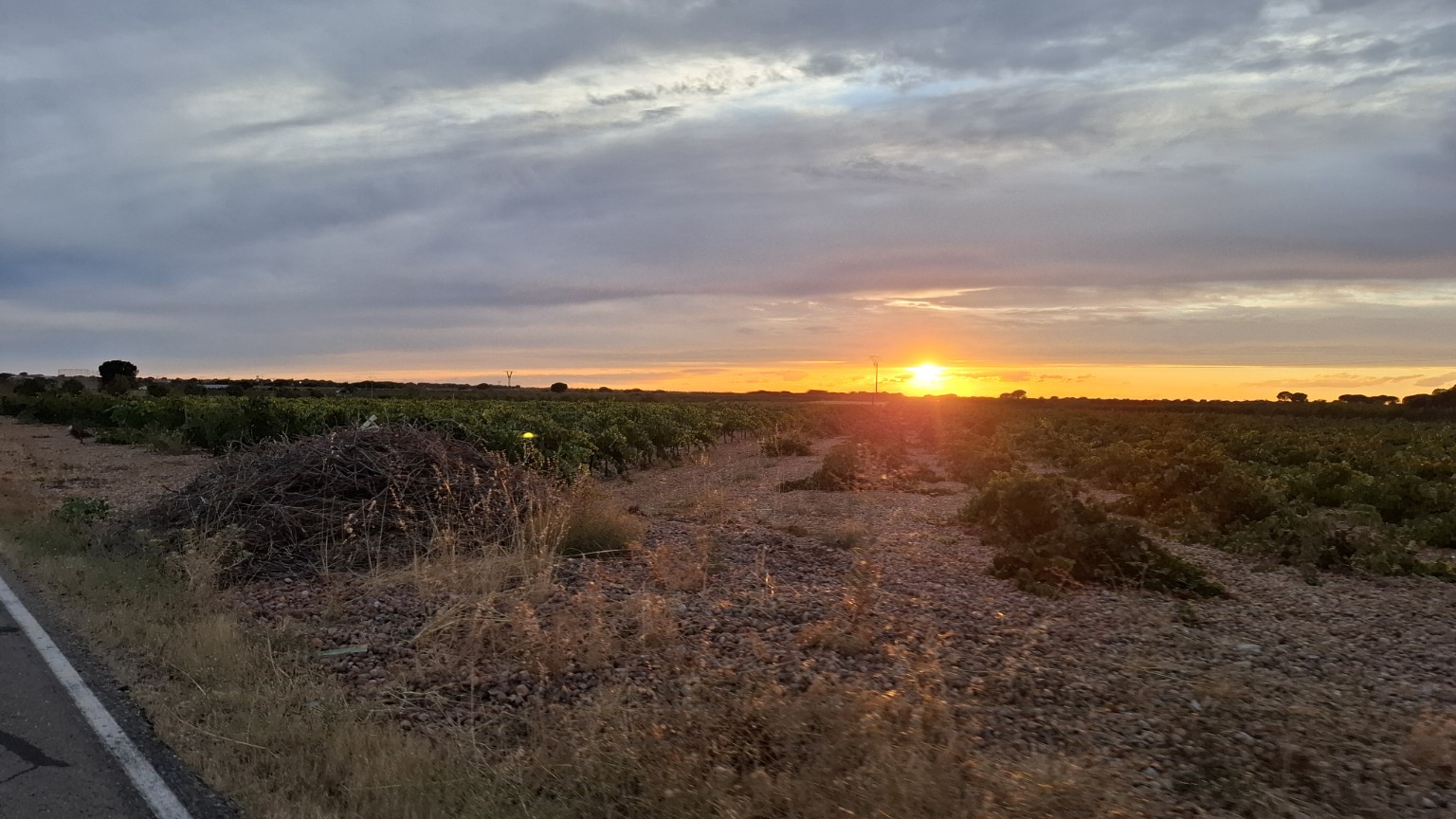 Camino de Casas de Haro al atardecer